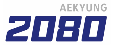 애경 2080